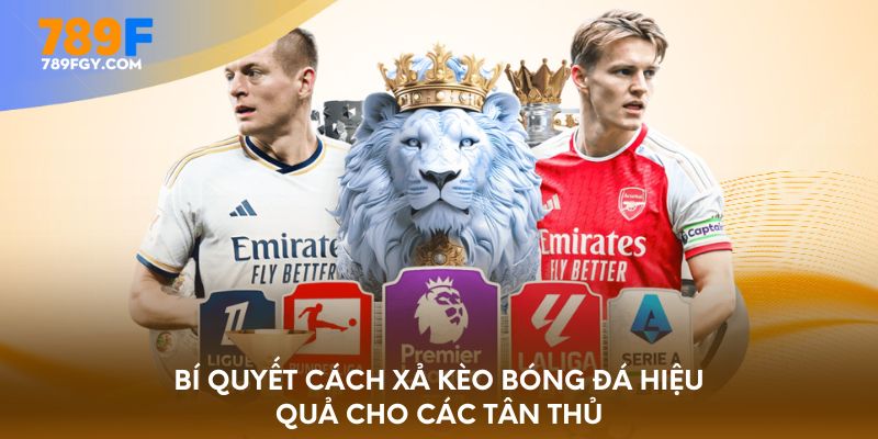 Bí quyết cách xả kèo bóng đá hiệu quả cho các tân thủ