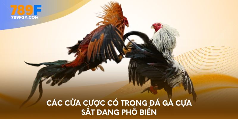 Các cửa cược có trong đá gà cựa sắt đang phổ biến