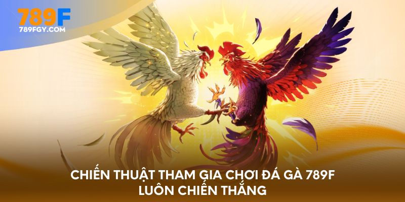 Chiến thuật tham gia chơi đá gà 789F luôn chiến thắng