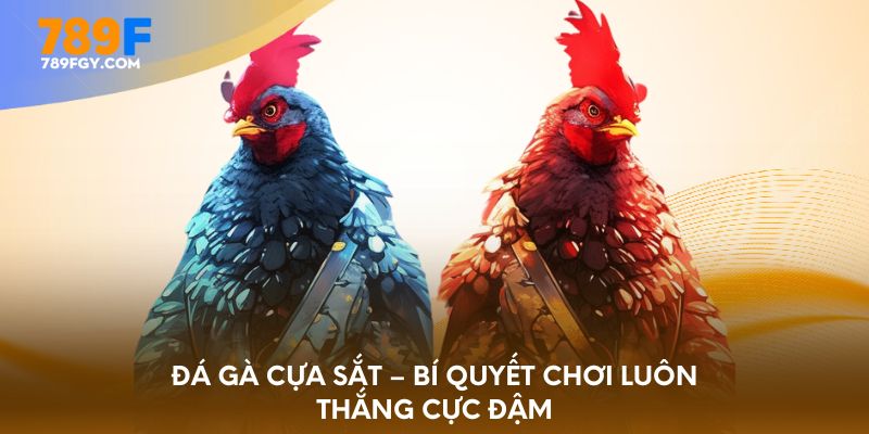da-ga-cua-sat-bi-quyet-choi-luon-thang-cuc-dam