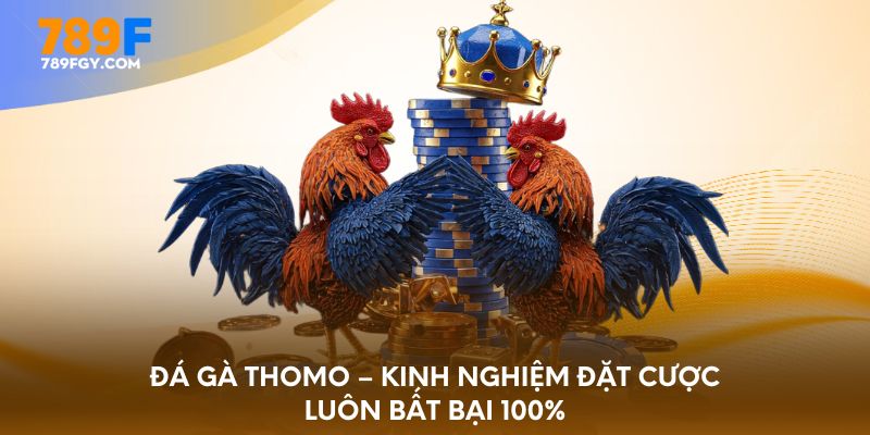 Tại sao nên tham gia cá cược đá gà Thomo tại 789F
