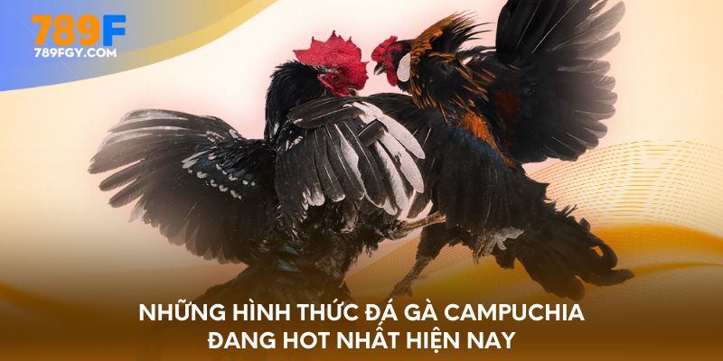 Những hình thức đá gà Campuchia đang hot nhất hiện nay