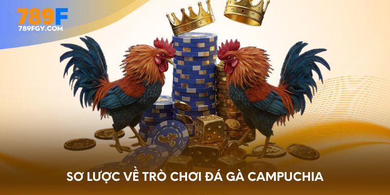 Sơ lược về trò chơi đá gà Campuchia
