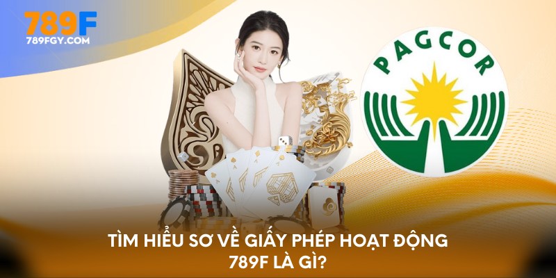 Tìm hiểu sơ về giấy phép hoạt động 789F là gì?