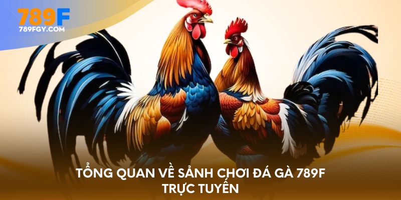 Tổng quan về sảnh chơi đá gà 789F trực tuyến