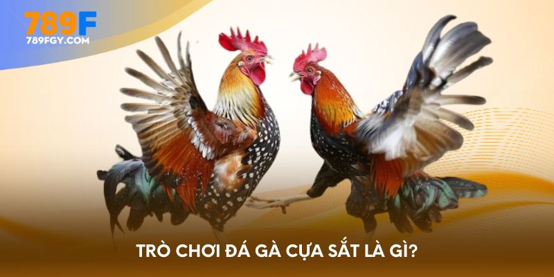 Trò chơi đá gà cựa sắt là gì?